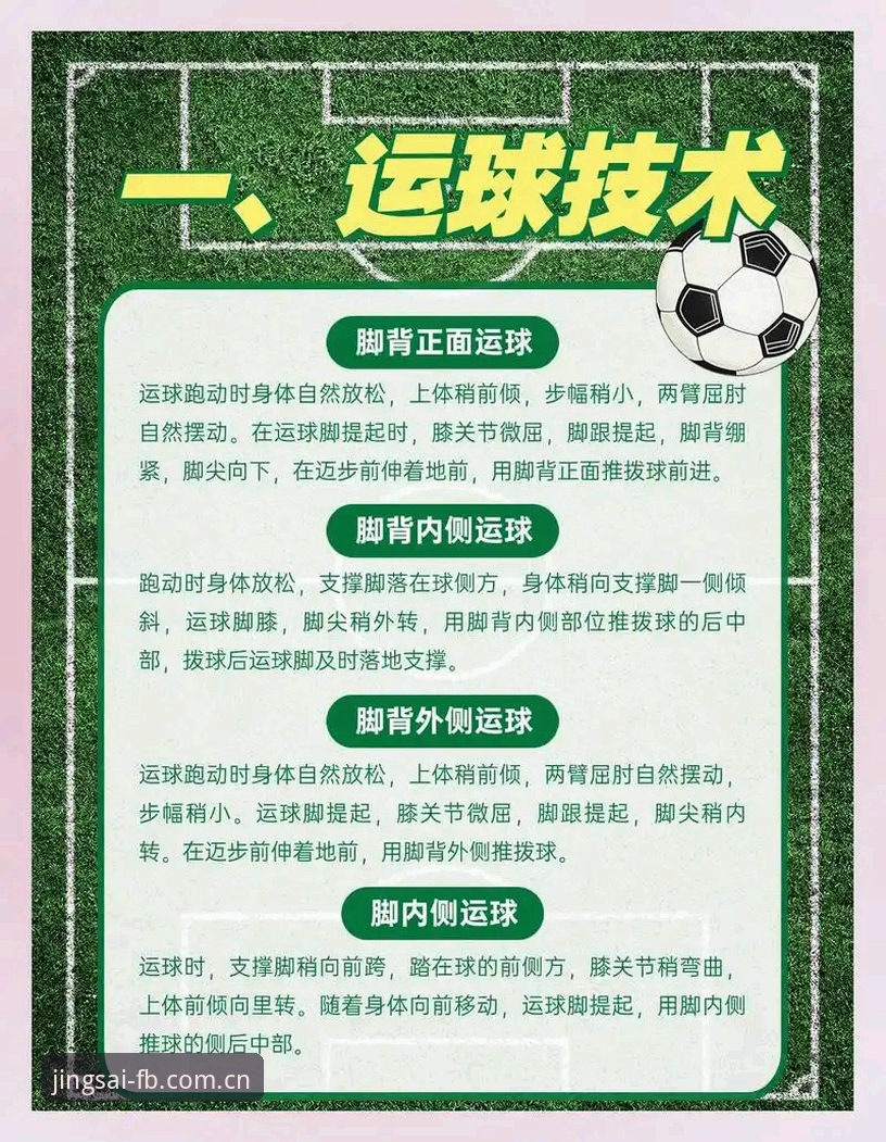 FB体育竞猜平台使用指南：从新手到高手的完整操作教程